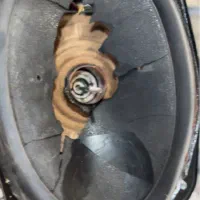 تعمیرات انواع باند میدرنج ساب ووفر توییتر تضمینی