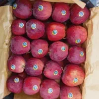 ۲/۵ تن سیب قرمز  سوپر لوکس کوهستان