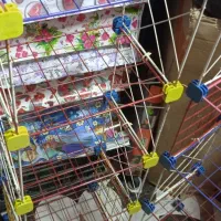 قفسه فلزی مشبک تمیز|کتابخانه، شلف، قفسههای دیواری|کرمانشاه, |دیوار