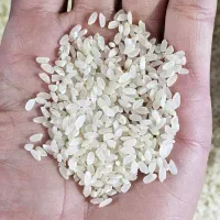 برنج گرده درجه یک فوق اعلا