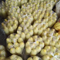 ترشی/رب انار شیره انگور آبلیمو آبغوره عصاره زعفران|خوردنی و آشامیدنی|یاسوج, |دیوار