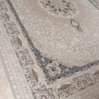 فرش نو|فرش|گرگان, |دیوار