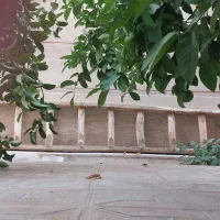 نردبان چوبی