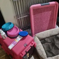 وسایل آموزش و نگهداری پت