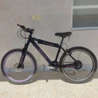 دوچرخه حرفه ای اورلورد|دوچرخه، اسکیت، اسکوتر|دهق, |دیوار