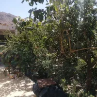 خونه ییلاقی