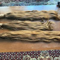 نمایندگی وخریدار اصلی مو طبیعی و رنگی