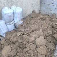 کود دامی