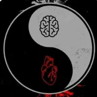 گچ کاری، گچ بری ، بی نقص و مهندسی در تمام شهر ها