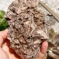 سنگ کلکسیونی آکواریم موزه ای ارواح