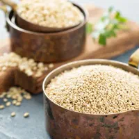 نمایندگی محصولات رژیمی
