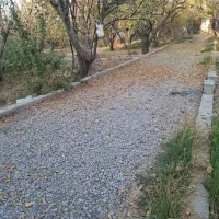 باغچه چهاردیواری ۱۵۰۰ متری در فردوسیه|فروش زمین و ملک کلنگی|فردوسیه, |دیوار