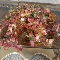 گل مصنوعی میخک و رز و کاج تزیئنیو گل شاخه ای|گل مصنوعی|اصفهان, شفق|دیوار