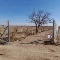 باغ انگور زیبا ،دنج با محیطی آرام در تاکستان|فروش دفتر صنعتی، کشاورزی، تجاری|تاکستان, |دیوار