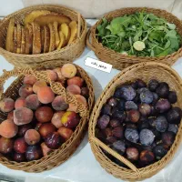 سبد های پذیرایی و سبزی