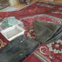 حراج نوسانگیر دو تا سیم افشان ال سی دی شکسته قفس|حراج|شیراز, سلطان آباد|دیوار