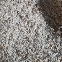 خوراک درجه یک پرواری