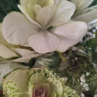 سبد گل طبیعی زیبا و شیک|گل و گیاه طبیعی|تهران, سیمای ایران|دیوار