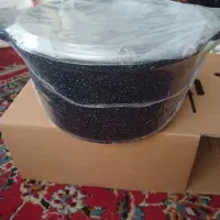 کفش زنانه