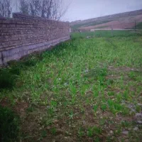 سرکارگر کشاورزی