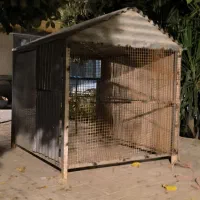 کوله کفتر بدرد سگ هم میخوره