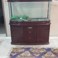 آکواریوم خارجی