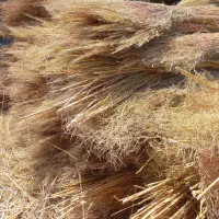 فروش ویژه|عمده‌فروشی|کرمان, |دیوار