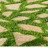 بذر چمن دایکوندرا اصل|گل و گیاه طبیعی|تهران, استخر|دیوار