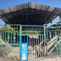 اجاره سوله 600 متر جنب پمپ بنزین ویسی