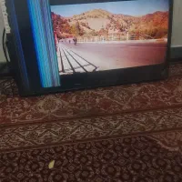 تلویزیون|تلویزیون و پروژکتور|زاهدان, |دیوار