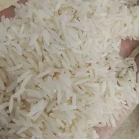 پخش برنج طارم هاشمی.فجر.طارم محلی 130ک|خوردنی و آشامیدنی|تهران, شهرک شریعتی|دیوار