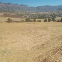 زمین کشاورزی|فروش زمین و ملک کلنگی|چوار, |دیوار