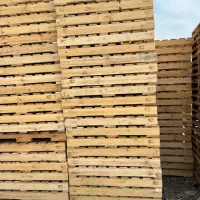 پالتچوبی شاهان(ارسال رایگان)