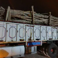 خرید انواع چوب ترو خشک سقفی ذغالی|خدمات باغبانی و درختکاری|خانمیرزا, |دیوار