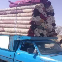 قالیشویی ساقدوش ،هروی ،پاسداران