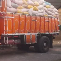 اتاق عقب بنز|خودرو سنگین|تربت جام, شاهد|دیوار