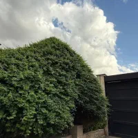 استخدام منشی خانم