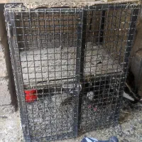 قفس جفت کن کبوتر