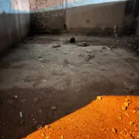 مغازه تجاری بلوار چویل