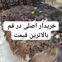 (خریدار) اصلی مو طبیعی قیمت ویژه بزرگترین شعبه قم