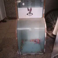 آکواریوم تمام شیشه