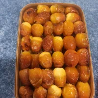 فروش تعدادی پاجوش نخل|گل و گیاه طبیعی|کاکی, |دیوار