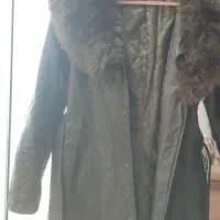 پالتوزنانه