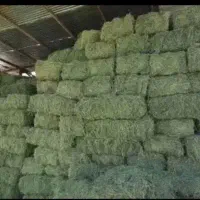 کاه یونجه پیت باگاس خارشتر جو ذرت خوراک دام بلوط