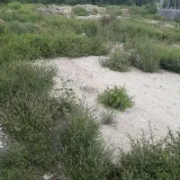فروش-زمین-مسکونی