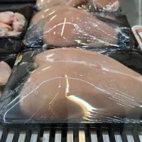 مرغ پاکن بی خصی