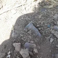 میش جمل