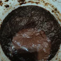 رب آلوچه جنگلی