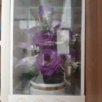 باکس گل