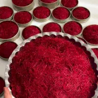 زعفران خراسان